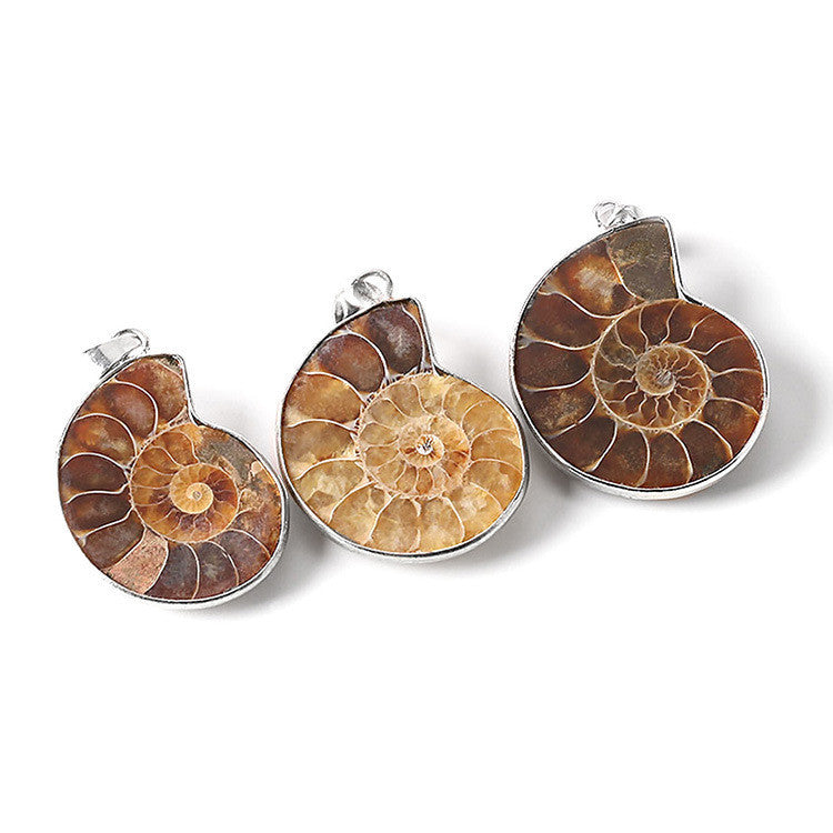 Fossil Necklace