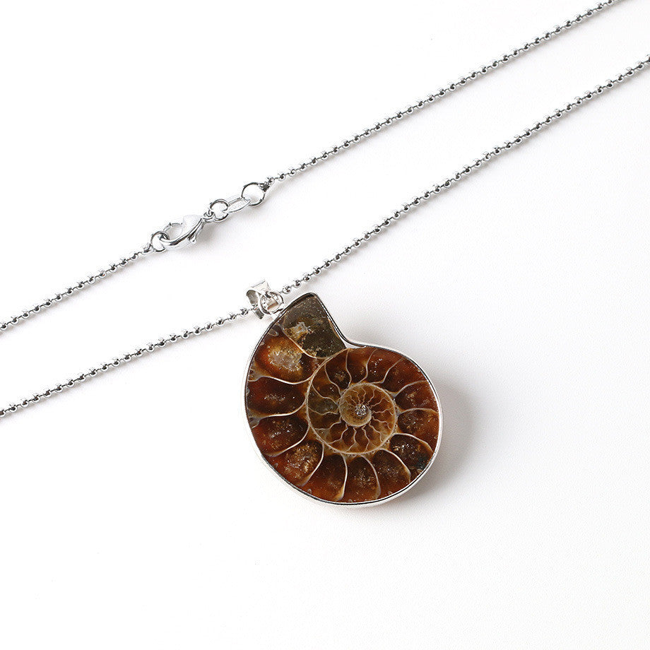 Fossil Necklace